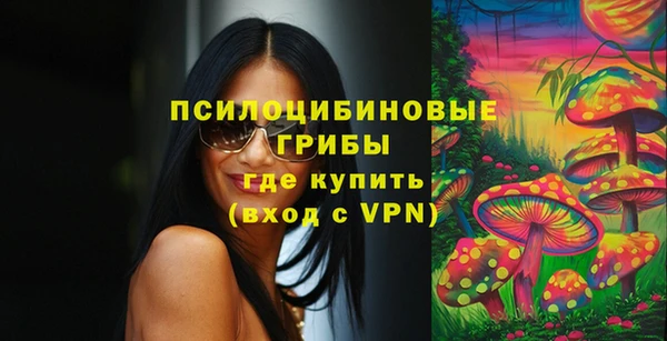герыч Алексин